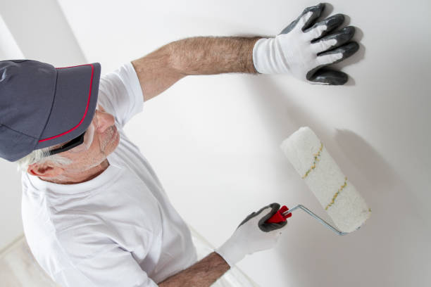 Best Mold Remediation for Healthcare Facilities  in Blue Island, IL