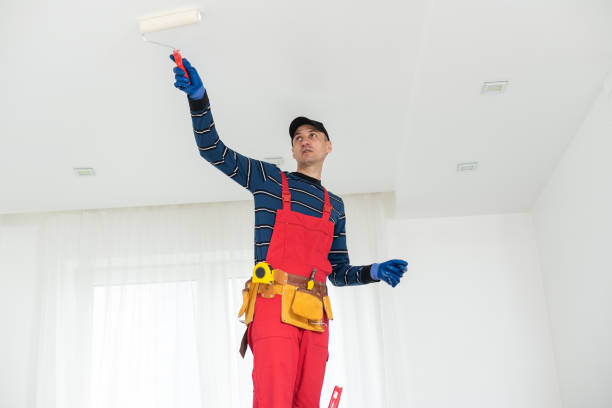  Blue Island, IL Mold Removal Pros