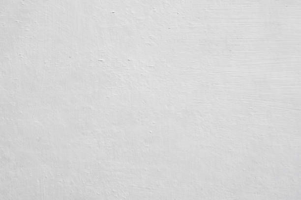 Best Mold Damage Restoration  in Blue Island, IL