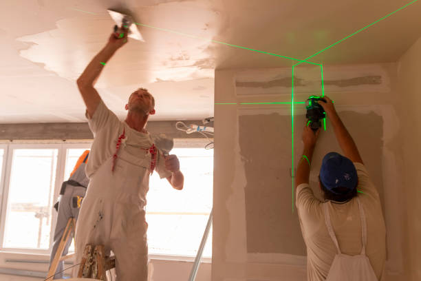 Reliable Blue Island, IL Mold Removal Solutions