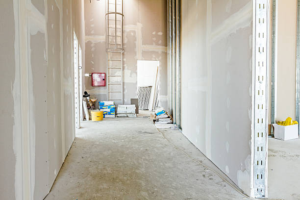 Best Mold Documentation for Insurance Claims  in Blue Island, IL