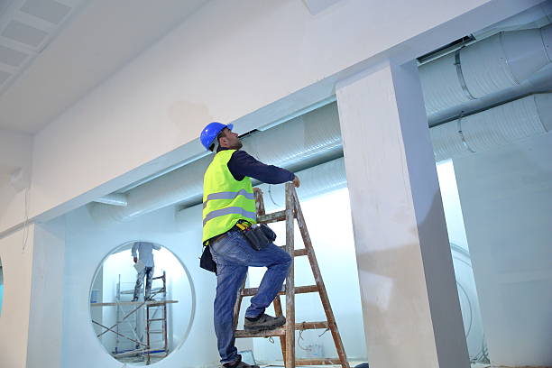 Best Mold Odor Removal Services  in Blue Island, IL
