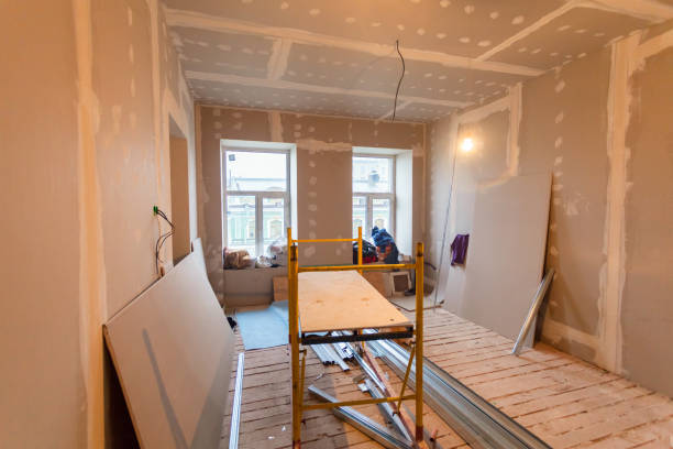 Best Biohazard Mold Removal  in Blue Island, IL