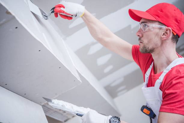 Best Industrial Mold Remediation  in Blue Island, IL